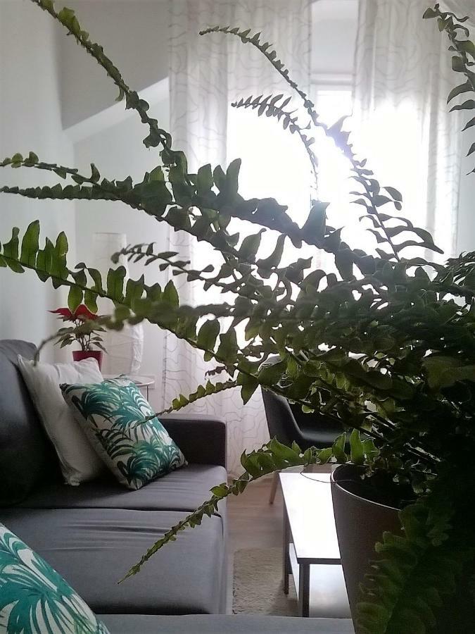 Center 23 - Old Town Apartment Загреб Екстериор снимка