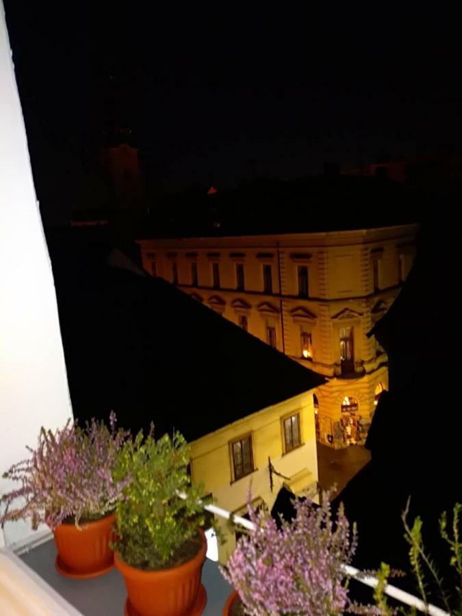 Center 23 - Old Town Apartment Загреб Екстериор снимка